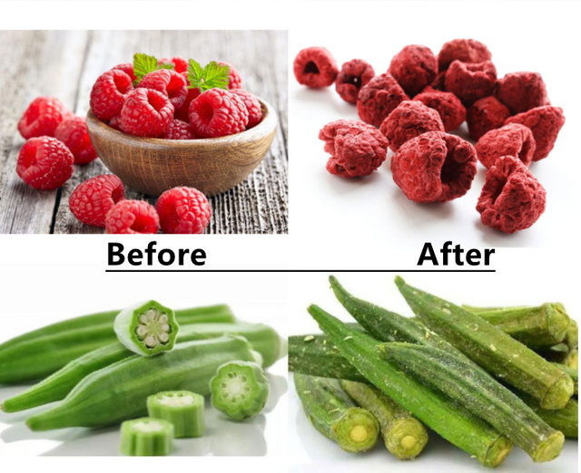 Hot Sale Chinese Lab Food Freeze Dryer Machine Equipment With The Lowest Price