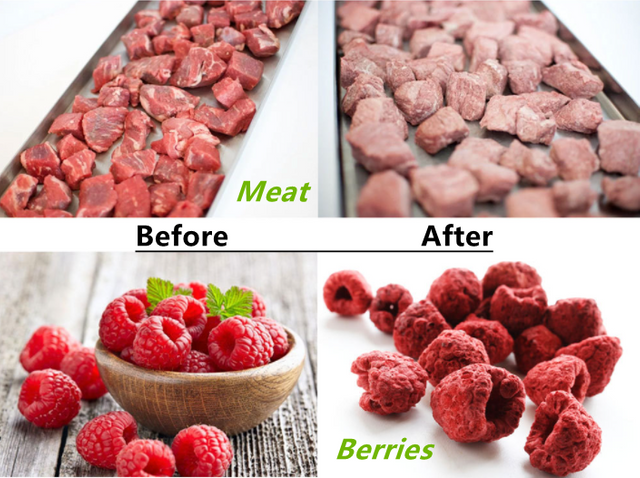 1kg 2kg 6kg Small Fruit Vegetable Home Freeze Dryer Home Dehydrator